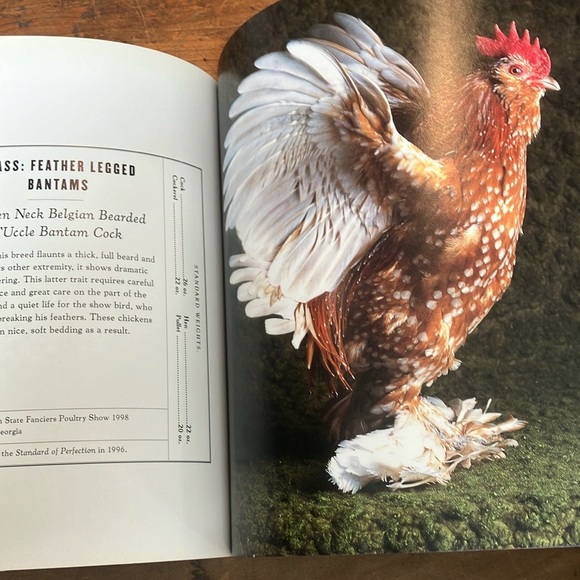 The Fairest Fowl: Portraits of Championship Chickens Book by Tamara Staples - Picture 16 of 16